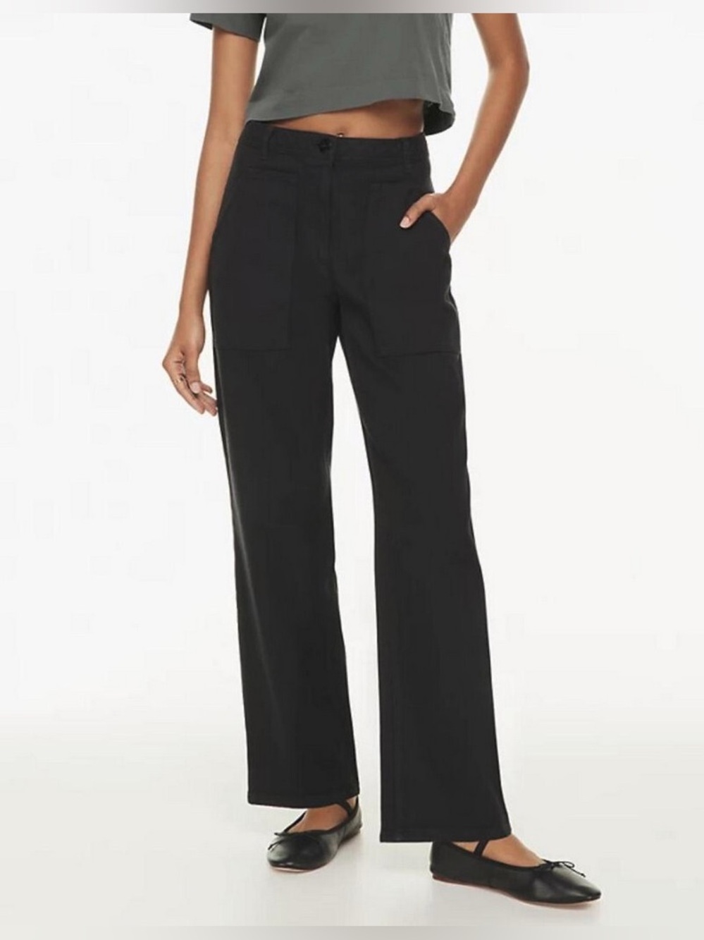 Aritzia Wilfred Free Black Modern Canvas Utility Straight Leg Pants